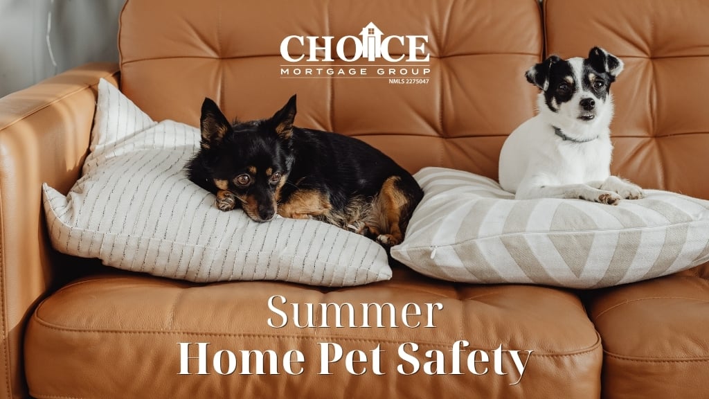 Summer Home Pet Safety